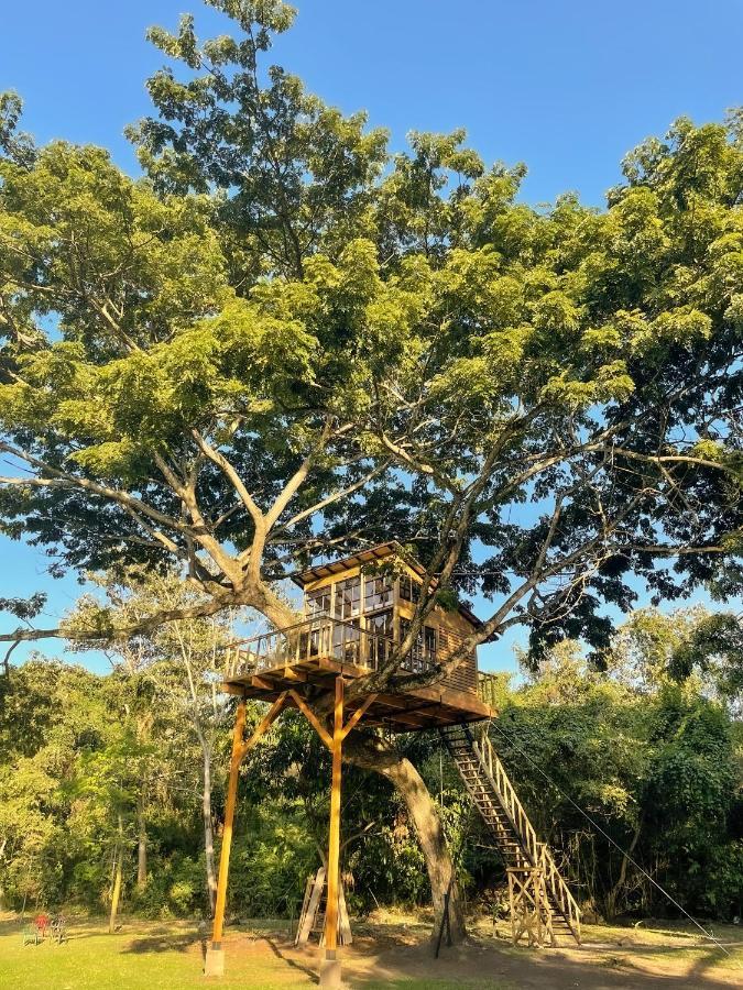 Casa En El Arbol Villa Utica Екстериор снимка