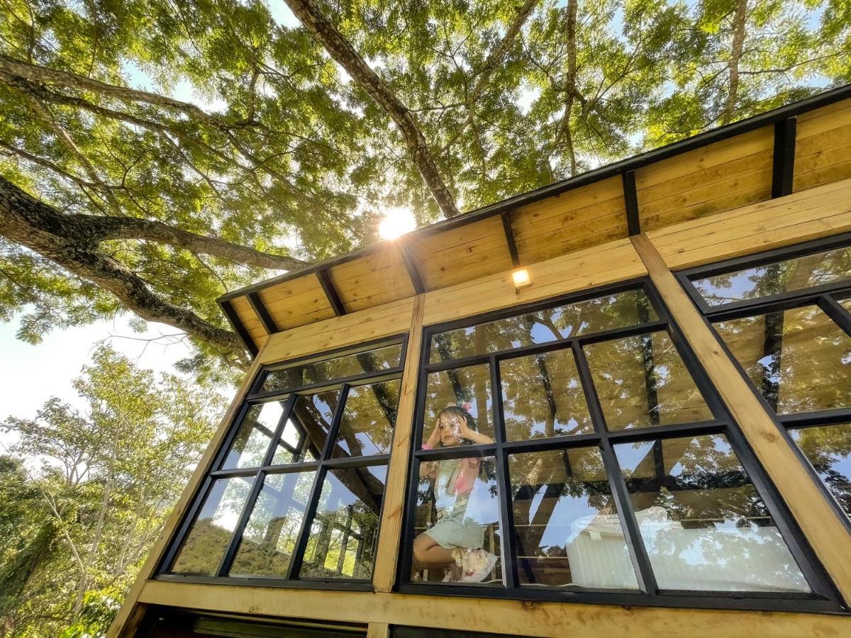 Casa En El Arbol Villa Utica Екстериор снимка