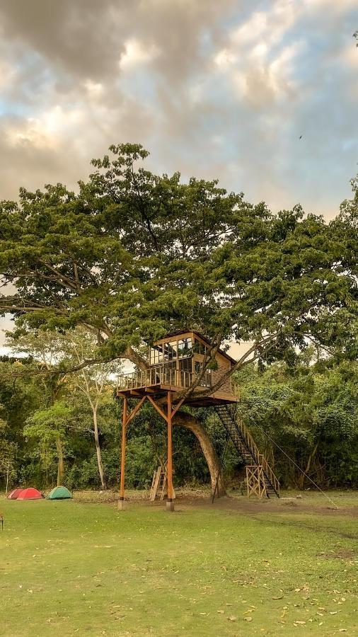Casa En El Arbol Villa Utica Екстериор снимка